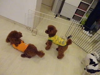 DSC07662.jpg