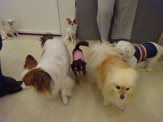 DSC07665.jpg