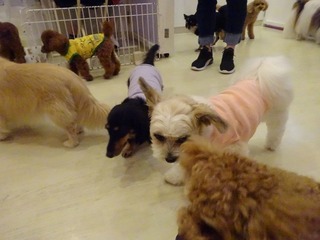 DSC07793.jpg