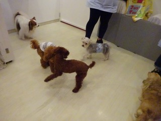 DSC07820.jpg