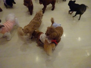 DSC07841.jpg