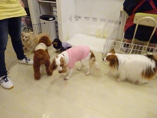 DSC07865.jpg
