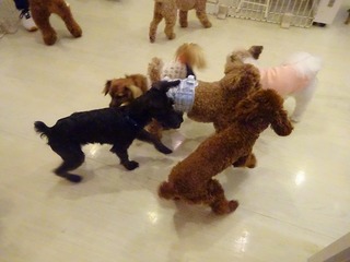DSC07872.jpg