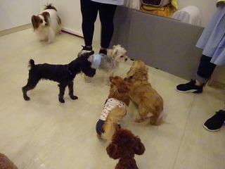 DSC07876.jpg
