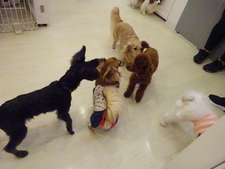 DSC07907.jpg