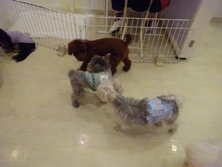 DSC07910.jpg