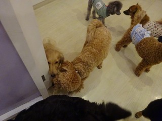 DSC07942.jpg