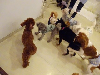 DSC07950.jpg