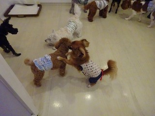 DSC07992.jpg