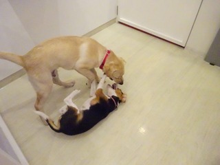 DSC08048.jpg