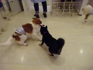 DSC08058.jpg