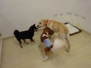 DSC08095.jpg