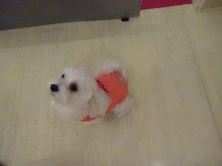 DSC08105.jpg