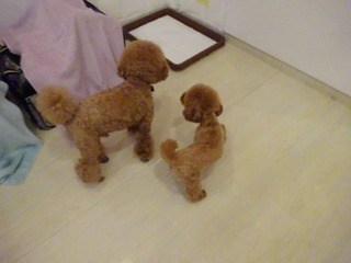 DSC08126.jpg