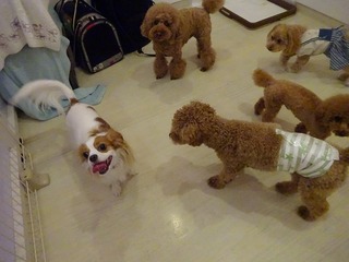 DSC08138.jpg