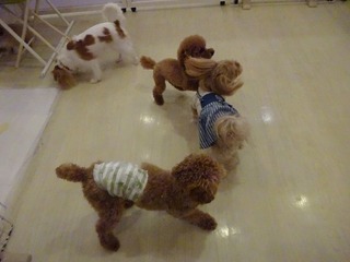 DSC08148.jpg