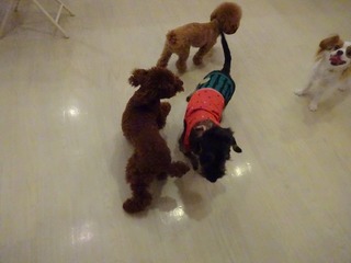 DSC08157.jpg