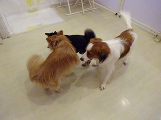 DSC08181.jpg