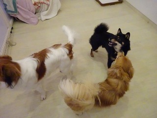 DSC08192.jpg