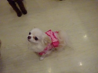 DSC08240.jpg