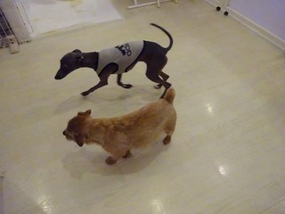 DSC08248.jpg