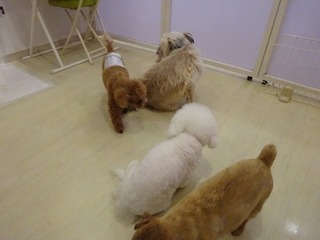 DSC08260.jpg