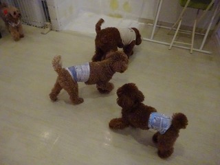DSC08286.jpg