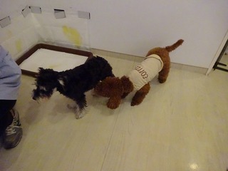 DSC08314.jpg