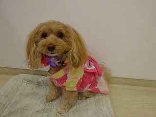 DSC08370.jpg