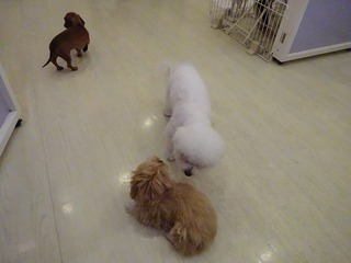 DSC08453.jpg
