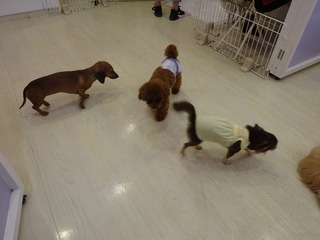 DSC08464.jpg