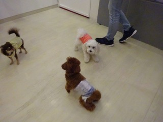 DSC08476.jpg