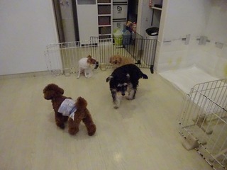DSC08491.jpg