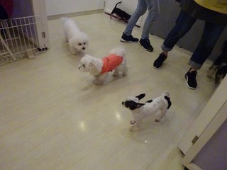 DSC08518.jpg