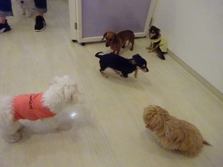 DSC08522.jpg