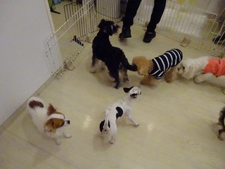 DSC08543.jpg