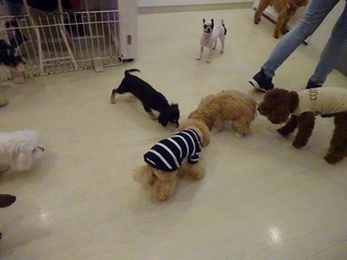 DSC08549.jpg