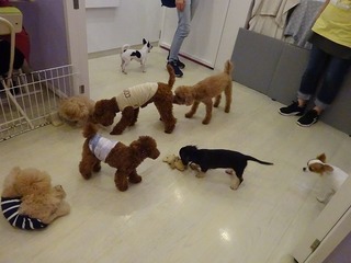 DSC08554.jpg