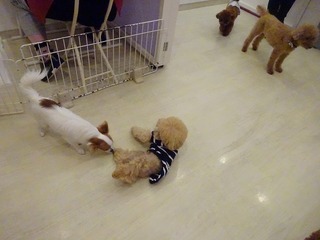 DSC08563.jpg