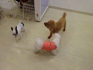 DSC08570.jpg