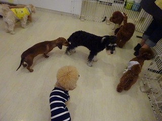 DSC08573.jpg