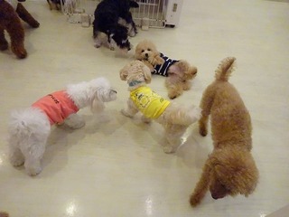 DSC08587.jpg