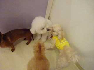 DSC08589.jpg