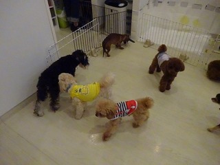 DSC08613.jpg