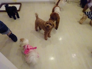 DSC08621.jpg