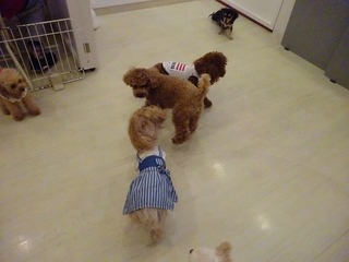DSC08629.jpg