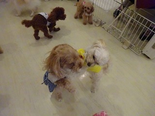 DSC08638.jpg