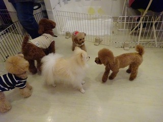 DSC08699.jpg