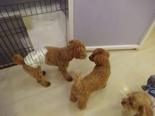 DSC08714.jpg