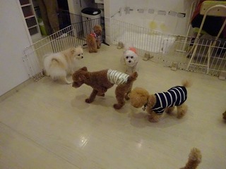 DSC08762.jpg